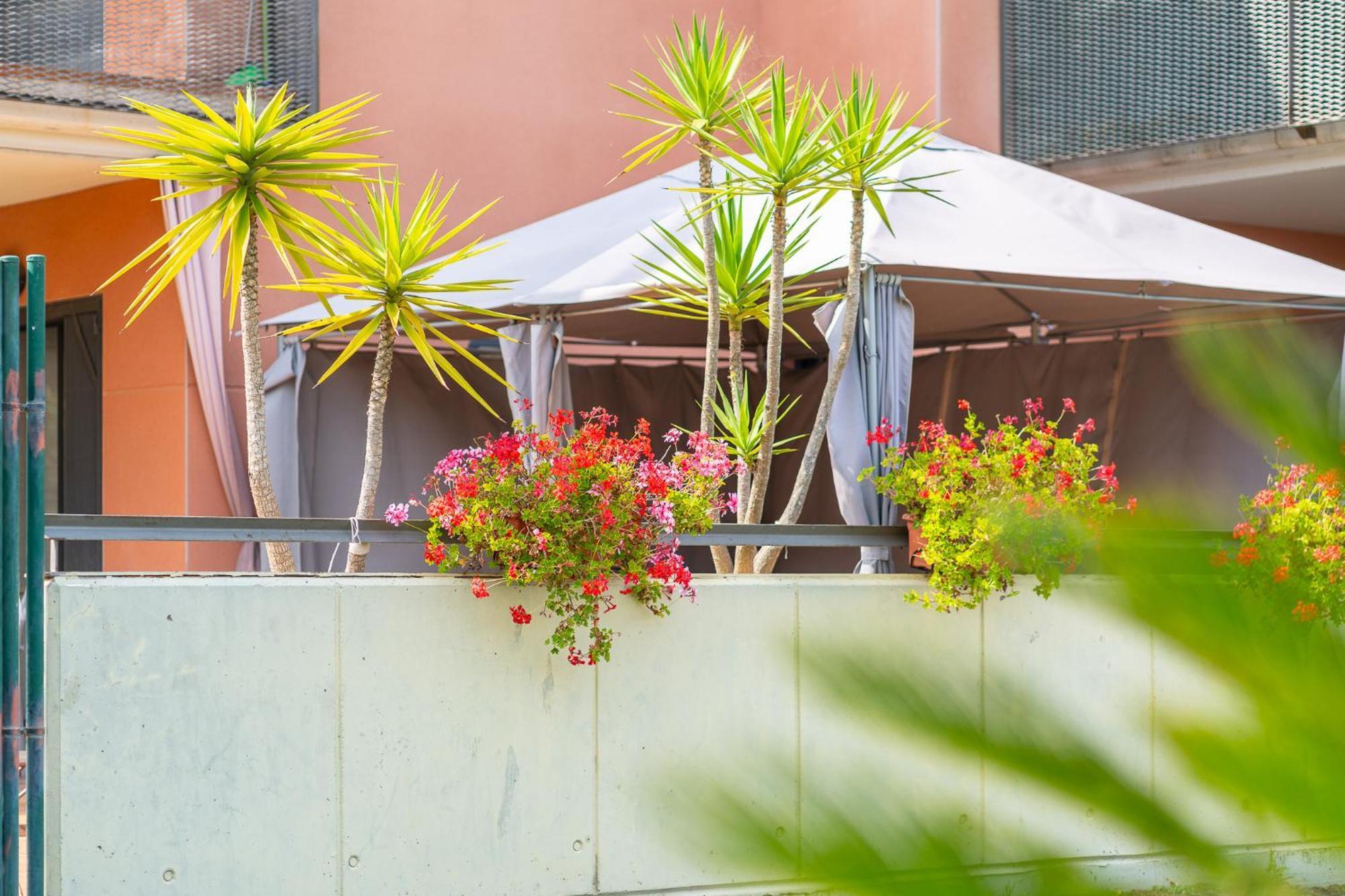 Charming Garden En 