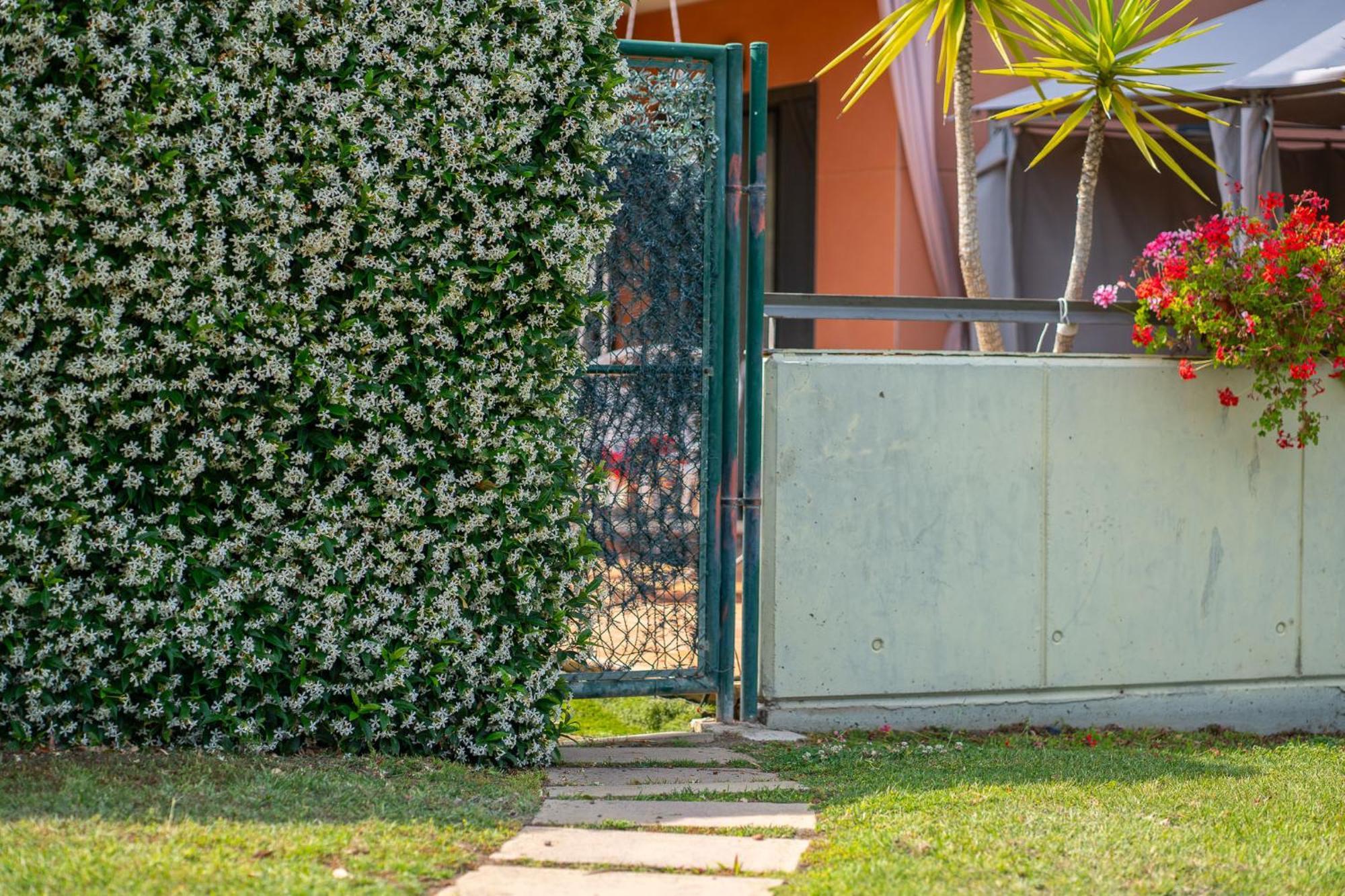 Charming Garden En 